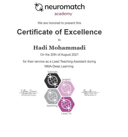 Neuromatch Academy Lead Teaching Assistant certificate